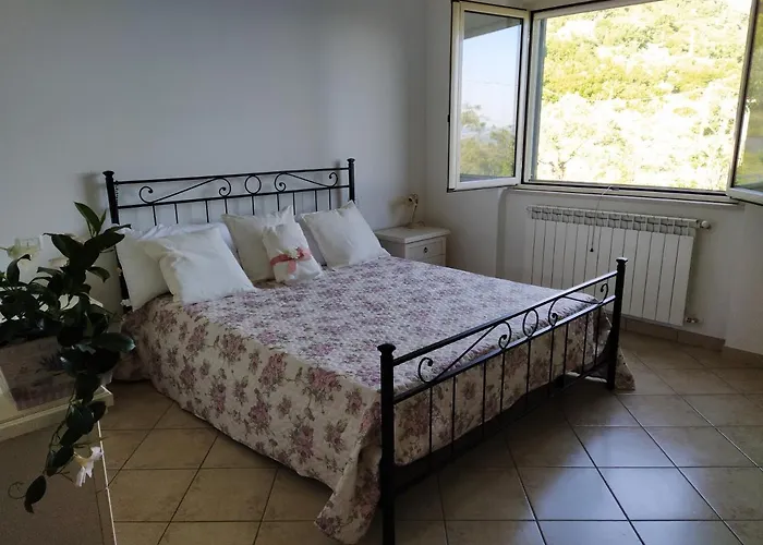 Anthony House * Guardiabruna