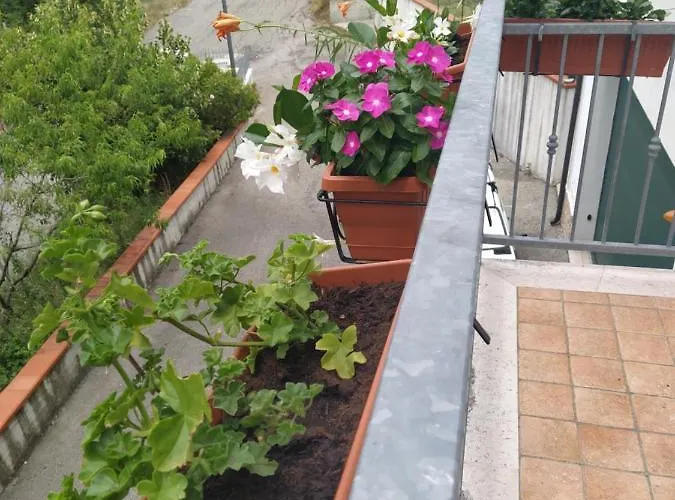 Anthony House Guardiabruna